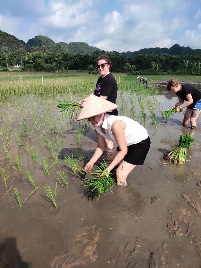 Tam Coc Lotus Flower Homestay Ninh Binh Bagian luar foto